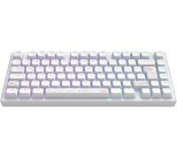 Dark Project Clavier mécanique ALU81A TERRA NOSTRA – ISO Multi, Hot‑Swap, G3MS, aluminium, 75%