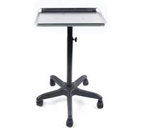 Aluminiumlegierung Tablett Salon Spa Beauty Tattoo Metall Rolling Service Instrumententablett Ständer Rolling Salon Service Cart Tattoo Rolling Tray Station (Silber)