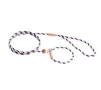 Alvalley en Nylon Laisse Lasso avec Butée de Sécurité pour Chien 4 mm x 123 cm ou 1/Q900 X 1,2 m, Medium, Black - White - Gray