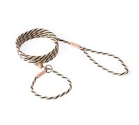 Alvalley en Nylon Laisse Lasso avec Butée de Sécurité pour Chiens 4 mm x 1,8 m, m, Gold - Hunter Green