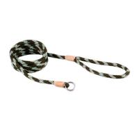Alvalley en nylon Laisse lasso pour chien 8 mm x 183 cm ou 7,9 mm x 1,8 m, Small, Vert Combo