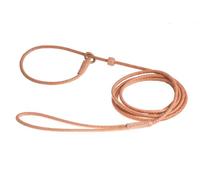 Alvalley Laisse Lasso en Corde Tressée avec Butée de Sécurité pour Chiens 1,8 m - Fin, XS, Peau