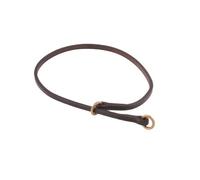 Alvalley Plat Collier Semi-étrangleur pour Chien Épaisseur 3/16 en X Large 22 en, l, Marron