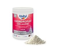 Alvityl - Complément Articulations - Collagène 1-2-3, Harpagophytum, Acide hyaluronique - Chocolat