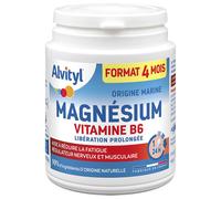 Alvityl Magnésium Vitamine B6 Libération Prolongée 120 Comprimés