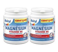 Alvityl Magnésium Vitamine B6 Libération Prolongée Comprimé(S) 2x120 pc(s)