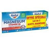Alvityl Comprimés Magnésium Vitamine B6 – Libération prolongée – 2x45 comprimés