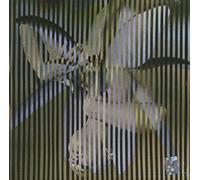 Always Ascending by Franz Ferdinand [VINYL] NEUF