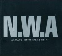 Alwayz Into Somethin'