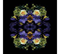 Alyson Fennell (Flowers of Eden 40 x 40 cm Toile Imprimée