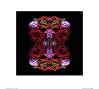 Alyson Fennell (Paradise of Petals 40 x 40 cm Toile Imprimée