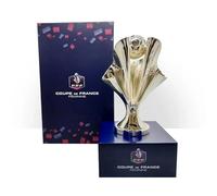Am Ball Com Trophée Coupe de France Féminine Réplique 3D sur Socle Acrylique 150 mm, Objet de Collection Supporter, Trophée Décoratif Élégant, Cadeau pour Homme