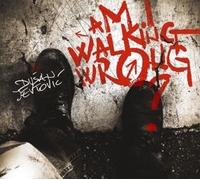 Jevtovic,Dusan - Am I Walking Wrong [Import]