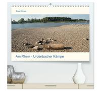 Am Rhein - Urdenbacher Kämpe (hochwertiger Premium Wandkalender 2026 DIN A2 quer), Kunstdruck in Hochglanz: Eine Wanderung im Naturschutzgebiet Urdenbacher Kämpe am Rhein in der Sonne