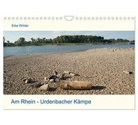Am Rhein - Urdenbacher Kämpe (Wandkalender 2026 DIN A4 quer), CALVENDO Monatskalender: Eine Wanderung im Naturschutzgebiet Urdenbacher Kämpe am Rhein in der Sonne