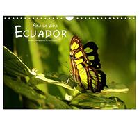 Ama la Vida Ecuador (Wandkalender 2026 DIN A4 quer), CALVENDO Monatskalender: Hochwertiger Fotokalender mit Motiven aus Ecuador und Galapagos.