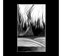 Ama//Mizu - Discordant In Colour [VINYL]