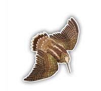 AMA SHOP Autocollant moulé Bécasse en vol mod.1|Convient pour casque de voiture moto|Passion Chasse |Decalcomanie|Passion moto