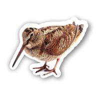AMA SHOP Autocollant moulé Oiseau Bécasse mod12|Convient pour casque de voiture moto |Décal|Passion Chasse