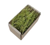 Amagogo Gazon Miniature réaliste, aménagement paysager, touffe touffue, Diorama, paysage de Train ferroviaire, fausse herbe pour Trains de Table de sable, Vert printanier