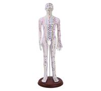 Amagogo Modèle d'Acupression Mannequin Médical Maquette Didactique Référence Figure Anatomique en PVC Souple avec Repères des Méridiens et Acupoints Adapté à, 62 Cm, style to 2