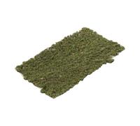 Amagogo Modèle de pelouse en touffe d'herbe robuste, mini- d'herbe polyvalente, décor pour chemin de fer, table de sable architecturale, Type C