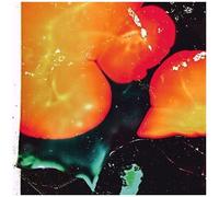 Amalie Dahl's Dafnie - Star Op Med Solen [Vinyl Lp]