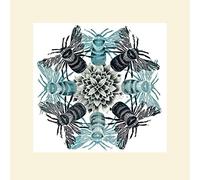 Amanda Colville (Circle of Bees 40 x 40 cm montée d'impression