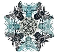 Amanda Colville (Circle of Bees 40 x 40 cm Toile Imprimée