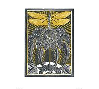 Amanda Colville (Dragonfly & Dandelions 60 x 80 cm Toile Imprimée