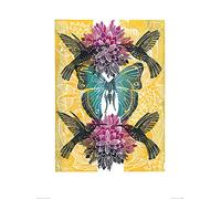 Amanda Colville (Hummingbirds 60 x 80 cm Toile Imprimée