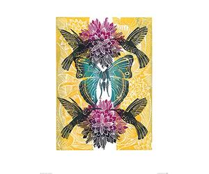 Amanda Colville (Hummingbirds 60 x 80 cm Toile Imprimée