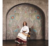 Amanda Rheaume The Spaces In Between (Vinyl)