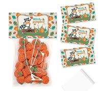 AmandaCreation Lot de 20 décorations pour sacs à friandises Motif raton laveur et raton laveur