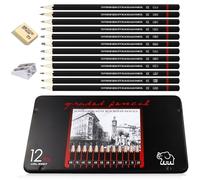 AMANDELIZABE Lot de 12 crayons d'écriture avec 1 gomme et 1 taille-crayon argenté 8B 7B 6B 5B 4B 3B 2B B HB F H 2H