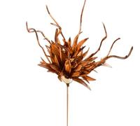 amangul Épingle à cheveux élégante en forme de dragon en forme de barbe réaliste pour les amateurs de styles traditionnels (café)