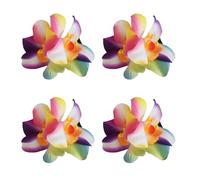 amangul Lot de 4 pinces à cheveux hawaïennes à motif floral hawaïen pour femmes et filles, accessoires de fête, épingles à cheveux pratiques pour la plage (couleur)