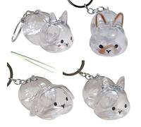 amangul Porte-clés Collecteur De Poils en Forme Lapin Capacité Étui Rangement en Plastique Transparent pour Fourrure d'animaux Compagnie Pendentif avec Pince À Épiler Pendentif Souvenir