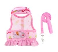 amangul Robe harnais et laisse pour petits animaux avec motif carotte pour lapins, jolie jupe, lapins et robe en laisse