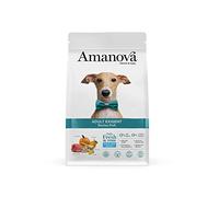 Amanova Croquettes pour Chiens Adultes de Taille Moyenne ou Grande pour Les Palais exigeants Porc Taste - 100% Naturel, hypoallergénique et monoprotéique - sans céréales - sans cruauté (2 Kg)