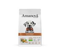 Amanova Super Premium Dry Food pour Chiots de Race Moyenne ou Grande au goût de Poulet - 100% Naturel, hypoallergénique et monoprotéique - sans céréales - sans cruauté (2 Kg)