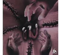 Amaryllis/Cosmos [Type a] [Lim [Import allemand]