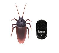 Amasawa Télécommande Insecte Faux Cafard, Cadeau de Jouet pour Enfants à Télécommande Infrarouge de Cafard Animal Hautement Simulé