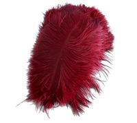 AMateschitz Lot de 10 plumes d'autruche naturelles 30-35 cm, Plumes décoratives pour DIY, artisanat, mariage, fête, costumes, décoration de maison, Bourgogne, 10 pièces
