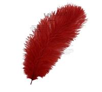 AMateschitz Lot de 10 plumes d'autruche naturelles Plume Belle plume d'autruche Plumes décoratives Plumes d'autruche douces pour le bricolage Multicolore pour mariage Maison Costumes DIY Rouge 25-30