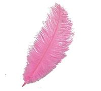 AMateschitz Lot de 10 plumes d'autruche naturelles - Plumes décoratives - Pour le bricolage - Pour mariage, maison, costumes, bricolage - Rose - 25-30 cm