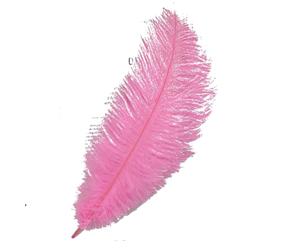 AMateschitz Lot de 10 plumes d'autruche naturelles - Plumes décoratives - Pour le bricolage - Pour mariage, maison, costumes, bricolage - Rose - 25-30 cm