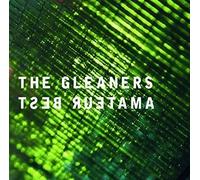 Amateur Best - The Gleaners