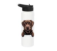 Amateur de chiots Labrador Funny Peeking Pocket de Chocolate Lab Stainless Steel Insulated Water Bottle