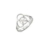 Amaxer Bague nœud celtique symbole quintuple en acier inoxydable Bague amulette celtique de sorcellerie Bijoux celtiques irlandais pour femmes (Argent, 19mm)